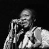 Muddy Waters; Photo by Paul Natkin 