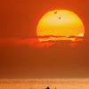 Venus Transit at the Black Sea © Alexandru Conu (Romania)