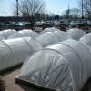Covered, raised bed. Image credit: Chicago Botanic Garden