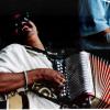 Photo Courtesy of World Music Festival: Chicago