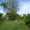 Image Credit: Friends of the Bloomingdale Trail