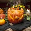 Image credit: Chicago Botanic Garden