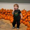 Image credit: Chicago Botanic Garden