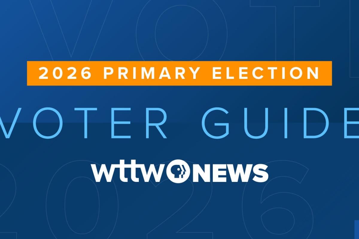 WTTW News 2026 Voter Guide to the primary election. 