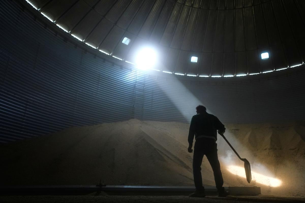 Doug Bartek shovels soybeans in a bin on his farm near Wahoo, Neb., on Monday, April 6, 2026. (AP Photo/Charlie Riedel)