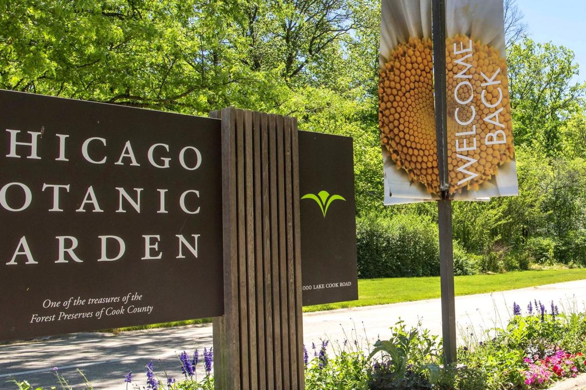 The Chicago Botanic Garden is welcoming visitors back starting June 24. (Chicago Botanic Garden)
