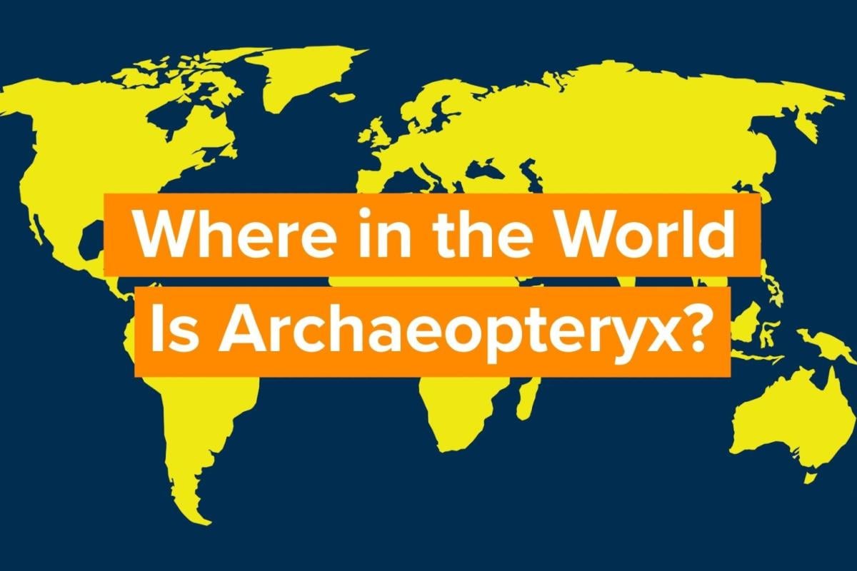 A graphic that says “Where in the World is Archaeopteryx”? (Nicole Cardos / WTTW News)