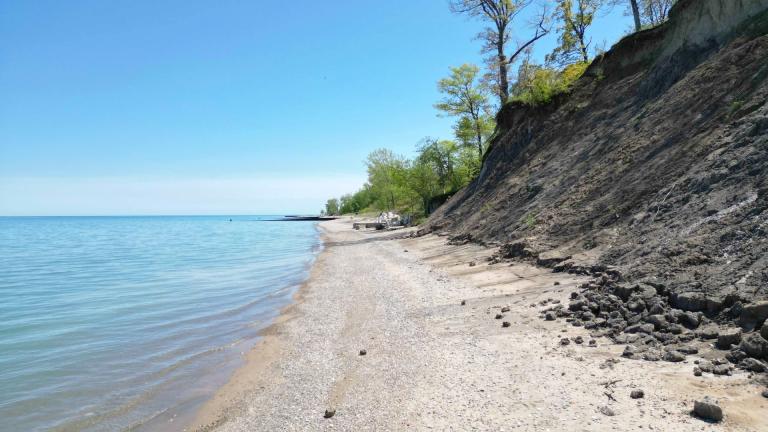 The bluff along Greene Preserve's Lake Michigan shoreline has been hard hit by erosion. Restoration efforts will focus on stabilizing the bluff using nature-based solutions. (Courtesy of Lake Forest Open Lands Association) 