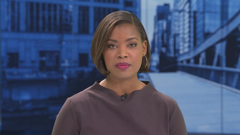 Brandis Friedman. (WTTW News)