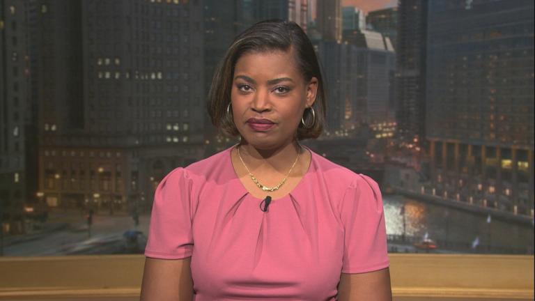 (WTTW News) (WTTW News)