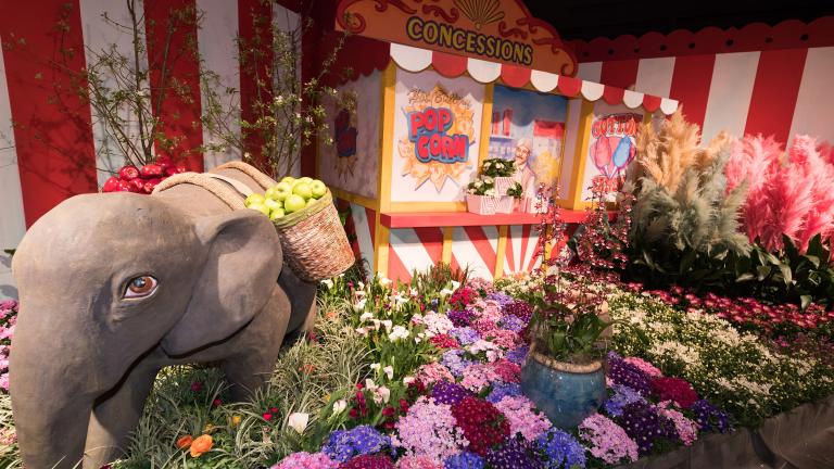 The 2017 Flower Show (Credit: Daniel Boczarski for Macy’s)