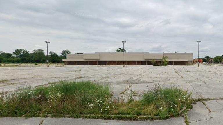The 67,000-square-foot vacant former grocery store and the surrounding 6.5 acres of land on the border between Morgan Park and West Roseland. (Credit: Google Street View)