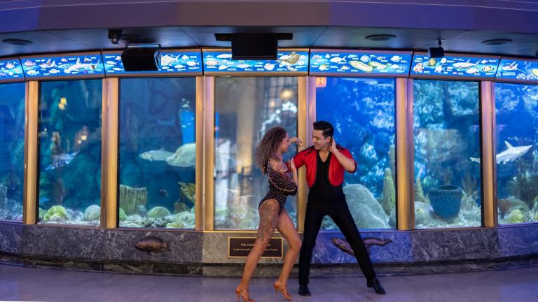 Ritmo del Mar at the Shedd Aquarium is an adults-only evening that combines Latino music and culture with the aquatic life and cityscapes of the Shedd. (Shedd Aquarium)