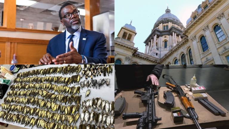 Top left: Mayor Brandon Johnson takes “Chicago Tonight” co-host Brandis Friedman around the Austin community on April 13, 2023. (Michael Izquierdo / WTTW News) Top right: The state Capitol. (WTTW News) Bottom left: Field Museum staff collected 1,000 dead birds Oct. 5, 2023, from the grounds of McCormick Place. (Courtesy of Taylor Hains) Bottom right: File photo of guns. (WTTW News)