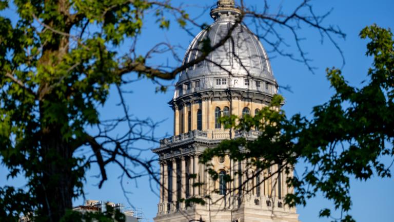 The Illinois Capitol dome is pictured through the trees in Springfield. (Andrew Adams / Capitol News Illinois)