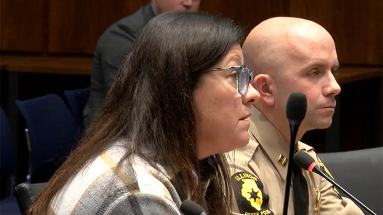 Illinois State Police acting chief legal counsel Suzanne Bond told lawmakers the agency has listened to gun owners’ concerns and made changes to the rules that were first proposed in September. (Capitol News Illinois)