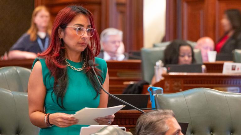 State Rep. Dagmara Avelar, D-Bolingbrook, speaks on the House floor during the 2024 spring legislative session. (Andrew Adams / Capitol News Illinois) 