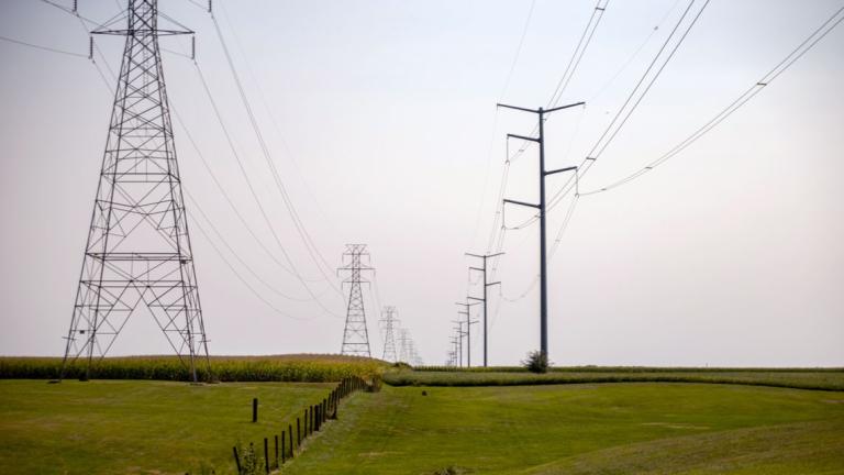 Power lines carry electricity over fields near Glasford. (Andrew Adams / Capitol News Illinois) 