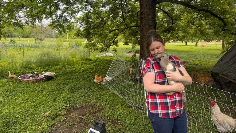 Anna Murrell, owner of The Little Farm holds her 6-week-old goose. (Grace Friedman / Medill Illinois News Bureau)