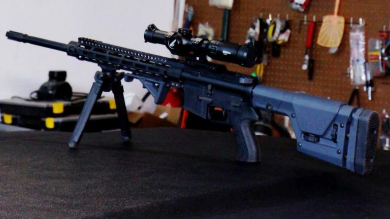 Challenges to Illinois’ assault-style weapons ban continue to make their way through federal courts. (Andrew Campbell / Capitol News Illinois)