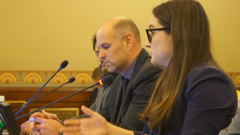 Teresa Ramos, secretary of the Illinois Department of Early Childhood, testifies before a state House committee in March 2025. (Capitol News Illinois)