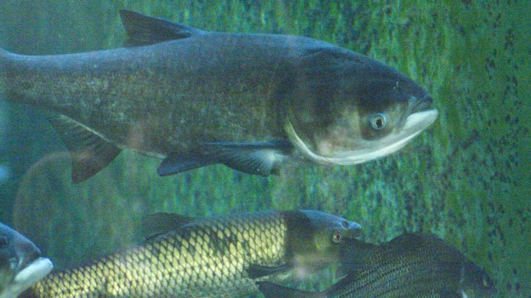 Courtesy Kate Gardiner