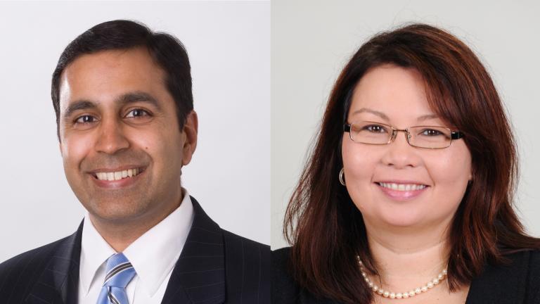 Raja Krishnamoorthi (left) and Tammy Duckworth