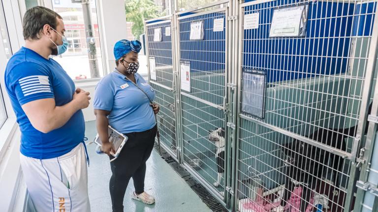 Chicago Animal Care and Control | Chicago News | WTTW