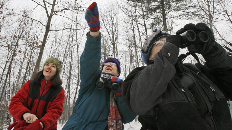 In this Dec. 19, 2008, file photo, Jeannie Elias, left, Mary Spencer, and Alison Wagner look for birds in Fayston, Vermont, as they take part in The National Audubon Society’s annual Christmas Bird Count. (AP Photo / Toby Talbot, File) In this Dec. 19, 2008, file photo, Jeannie Elias, left, Mary Spencer, and Alison Wagner look for birds in Fayston, Vermont, as they take part in The National Audubon Society’s annual Christmas Bird Count. (AP Photo / Toby Talbot, File)