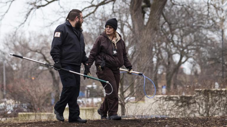 A Chicago Animal Care and Control inspector, right, and a warden from Cook County Animal Control fan out around the Peggy Notebaert Nature Museum in Lincoln Park to look for a possible coyote den, Thursday morning, Jan. 9, 2020. (Ashlee Rezin Garcia / Chicago Sun-Times via AP)