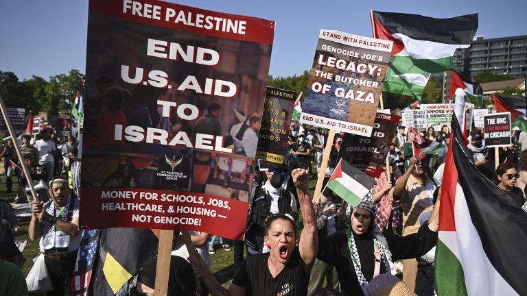 Protesters rally at a demonstration in Union Park during the Democratic National Convention Wednesday, Aug. 21, 2024, in Chicago. (AP Photo/Noah Berger) Protesters rally at a demonstration in Union Park during the Democratic National Convention Wednesday, Aug. 21, 2024, in Chicago. (AP Photo/Noah Berger)