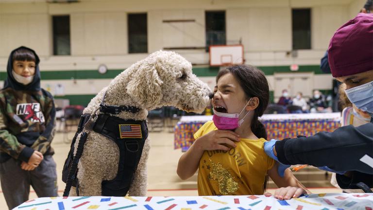 Leanna Arcila, 7, is licked by Watson, a therapy dog with the Pawtucket police department, as she receives her COVID-19 vaccination from Dr. Eugenio Fernandez at Nathanael Greene Elementary School in Pawtucket, R.I., Tuesday, Dec. 7, 2021.  (AP Photo / David Goldman)
