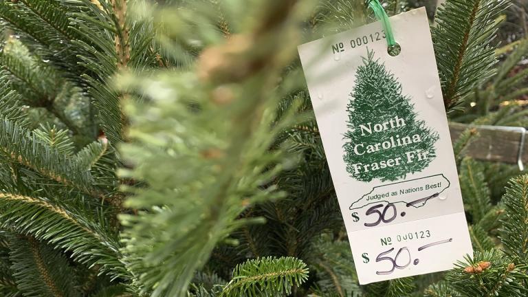 In this Monday, Dec. 9, 2019, photo, a North Carolina Fraser fir Christmas tree is for sale in Lenoir, N.C. A Christmas tree shortage is being blamed on the Great Recession. Poor sales a decade ago, limited the number of trees planted, which are being harvested this year. (AP Photo / Sarah Blake Morgan)