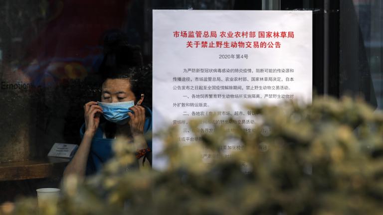 A woman puts on a mask near a notice board that reads “Bans on wild animals trading following the coronavirus outbreak” at a cafe in Beijing, Monday, Feb. 10, 2020. (AP Photo / Andy Wong)