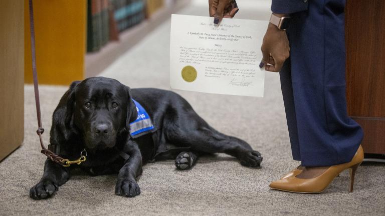 In this Tuesday, Oct. 29, 2019 photo, Cook County State’s Attorney’s first facility dog Hatty is sworn in by Cook County State’s Attorney Kimberly Foxx at the George N. Leighton Criminal Courthouse in Chicago’s Little Village neighborhood. (Camille Fine / Chicago Tribune via AP)