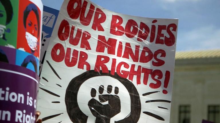 Abortion rights protesters hold signs at a rally in this file photo. (WTTW News)Abortion rights protesters hold signs at a rally in this file photo. (WTTW News)