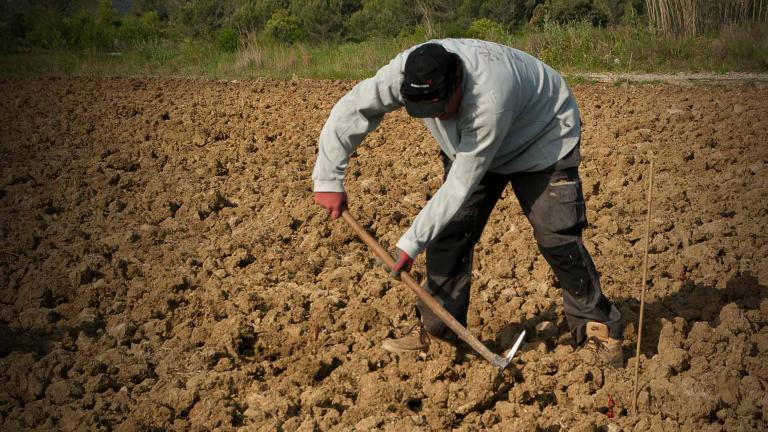 he nature of farm work and the structure of our nation’s migrant labor program make the people who perform long hours of labor in Illinois’ over 72 million farms vulnerable to abuse. (WTTW News)