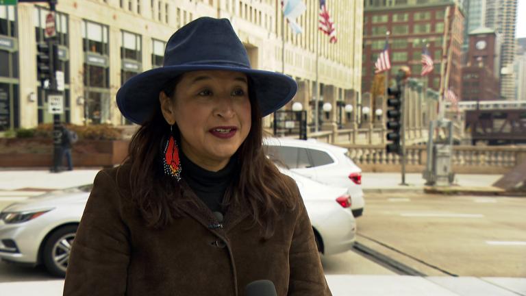 Alicia Ponce is an architect and one of the founding members of Arquitina, a professional leadership and licensure initiative that supports Latinas in architecture and encourages Latinas to join the industry. (WTTW News)