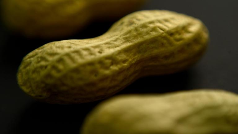 FILE - This Feb. 20, 2015, photo shows an arrangement of peanuts in New York. (Patrick Sison / AP Photo, File)