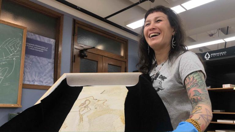 Jingmai O'Connor, associate curator of fossil reptiles, with the Chicago Archaeopteryx specimen, at the Field Museum, March 2024. (Patty Wetli / WTTW News)