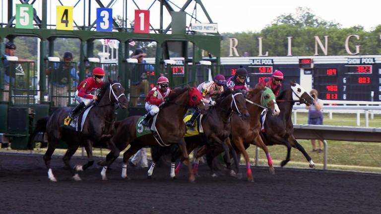 The starting gate at Arlington International Racecourse. (WTTW News)