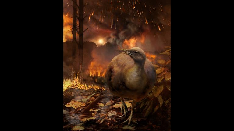 (Illustration by Phillip M. Krzeminski)
