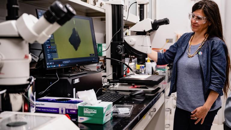 University of Chicago and Argonne beamline scientist Barbara Lavina observes one of the tiny asteroid fragments through a microscope, with the magnified image on the screen beside her, during the initial research session at Argonne in July. (Jason Creps / Argonne National Laboratory)