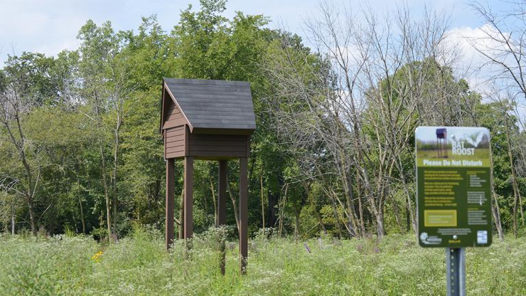 Conservationists have installed five bat houses in Cook County since 2016 to provide safe maternity colonies where female bats can give birth and nurse their pups. (Courtesy Friends of the Chicago River)