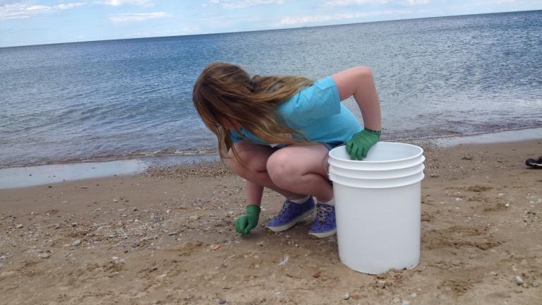 Volunteers are needed for beach cleanups in September. (Courtesy of Shedd Aquarium)
