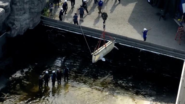 Beluga whales are transferred out of a now-closed aquatic park in Niagara Falls, Ontario, on July 20, 2026. (CBC via CNN) 