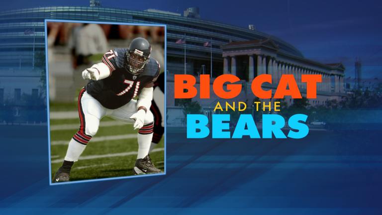 Big Cat and the Bears Page 3, Chicago News