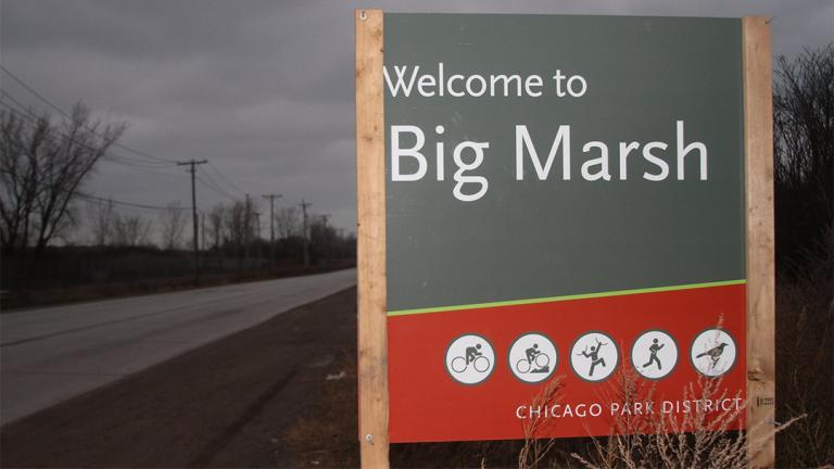 (Friends of Big Marsh / Facebook)