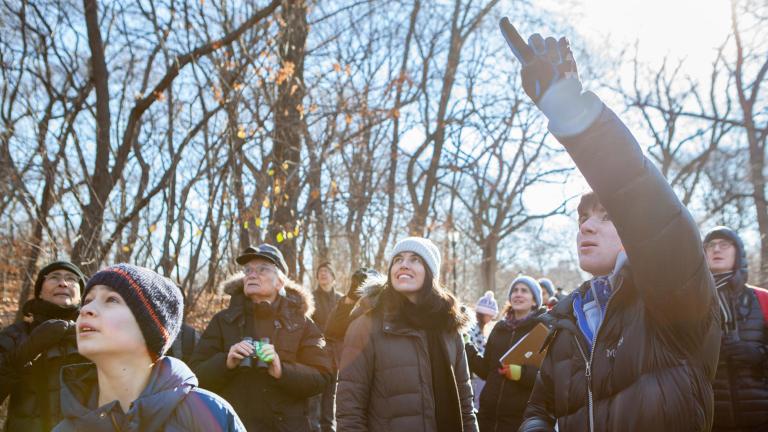 Each year tens of thousands of volunteers participate in more than 2,000 Christmas Bird Counts throughout the Western Hemisphere. (Camilla Cerea / Audubon)