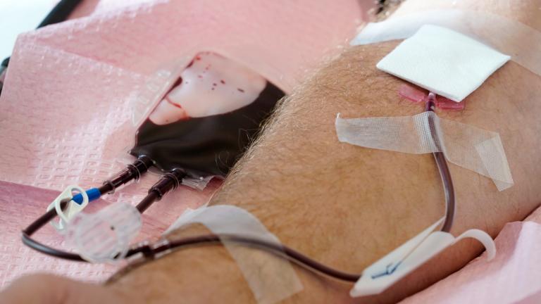Tubes direct blood from a donor into a bag in Davenport, Iowa, on Friday, Nov. 11, 2022. (AP Photo / Charlie Neibergall, File)